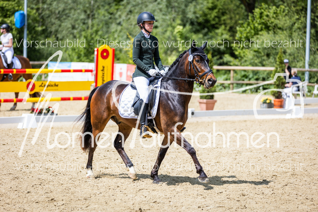 Donop24-EDre-047 | MomenTaufnahmen Pferdesportfotos