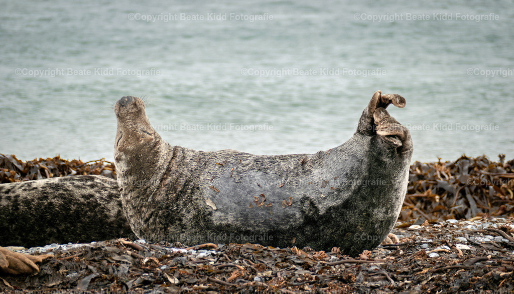 P1210477 | beatekidd-fotografie - Realisiert mit Pictrs.com