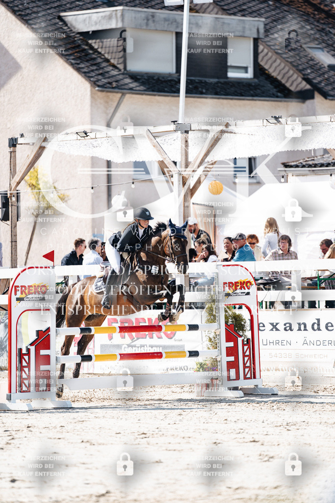 CK907848 | Turnierfotografie Pferdefotografie Trier Rheinland-Pfalz Pferdesport Reitsport Tierfotografie Sportfotografie Pferdevideo Pferdevideografie Equestrianvideography equestrianphotography  - Realisiert mit Pictrs.com