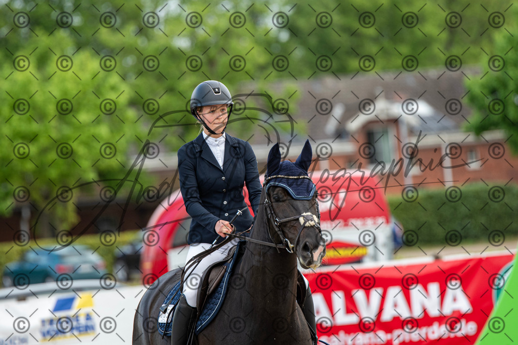 KPT_7699 | andre_photographic