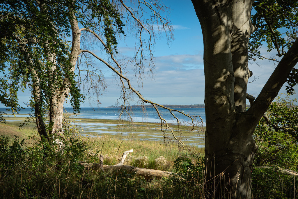 Hohenwieschendorf im Spätsommer | Ein Vormittag im Spätsommer 2023 an der Steilküste vor Hohenwieschendorf in Mecklenburg-Vorpommern.  - Realisiert mit Pictrs.com