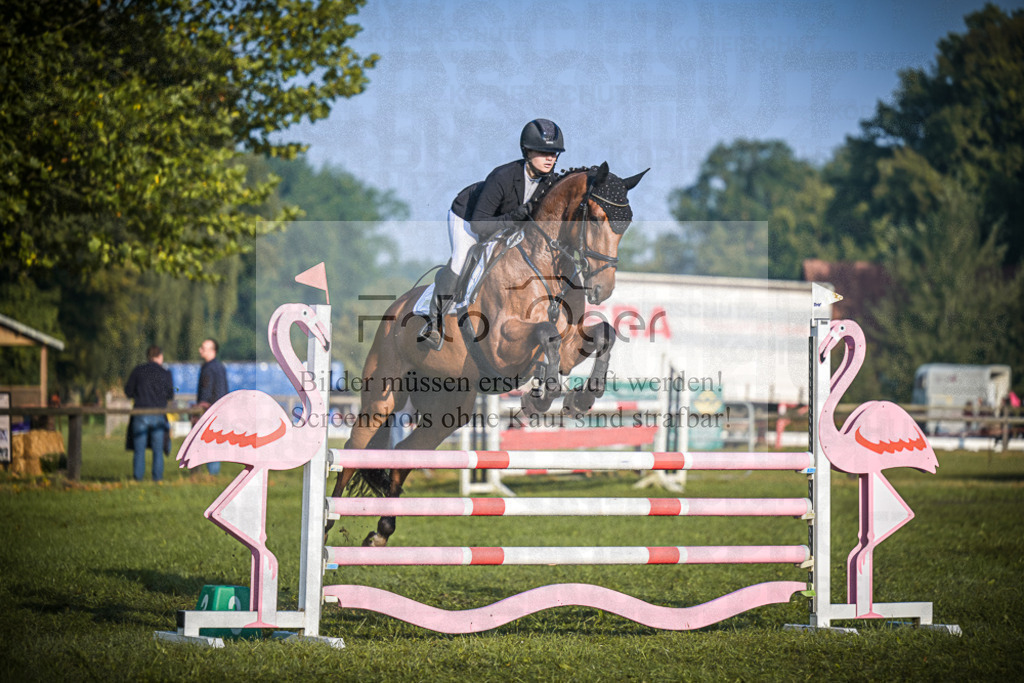 DOS_0429 | Entdecke hochwertige Reitturnierfotos von Foto Oger. Professionell, emotional und authentisch – jetzt Lieblingsmomente im Shop bestellen.Deutschlandweite Turnierfotografie. - Realisiert mit Pictrs.com