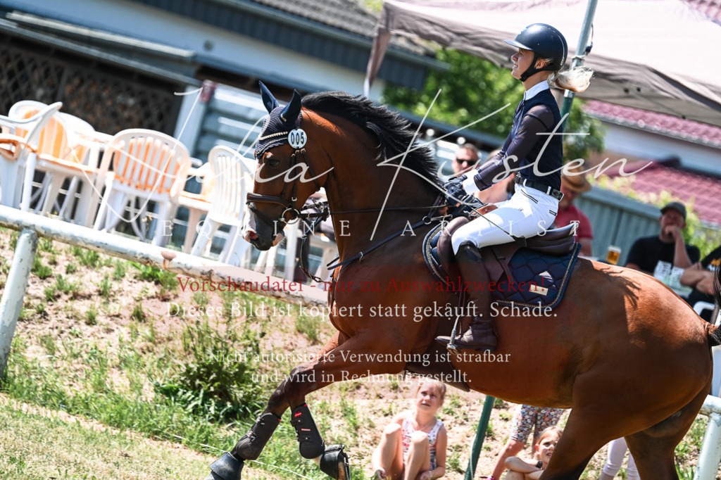 DSC_0176 | Pferde- und Turnierfotografie in Westsachsen. Pferdeportraits, Auftragszeichnungen und intuitive Kunst.