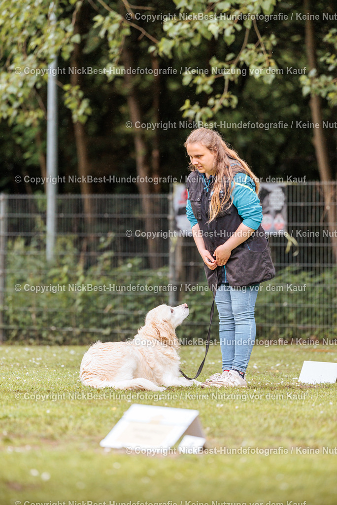 RO-Blumenthal-2026-Nickbest-Hundefotografie-0580 | Dein Hund! Dein Moment! Deine Erinnerungen! Hundefotografie in Bremen Blumenthal. Ich fange die besonderen Momente deines Vierbeiners ein – ob Indoor mit Blitzanlage oder in der freien Natur. Sicher dir dein Moment und dein Termin für eure Erinnerungen.