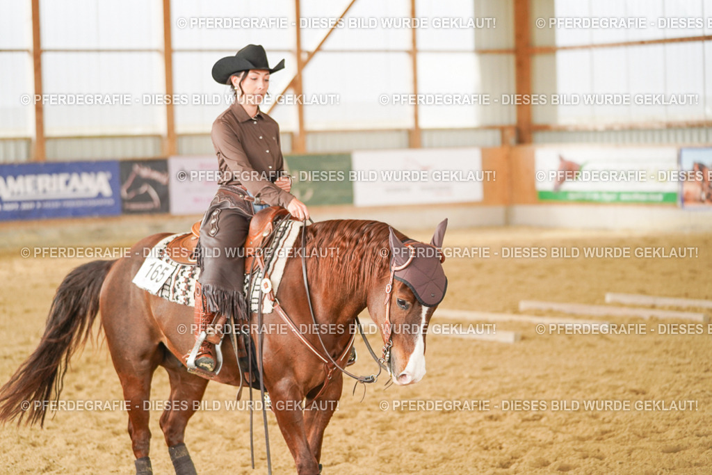 DSC04823 | Pferdegrafie