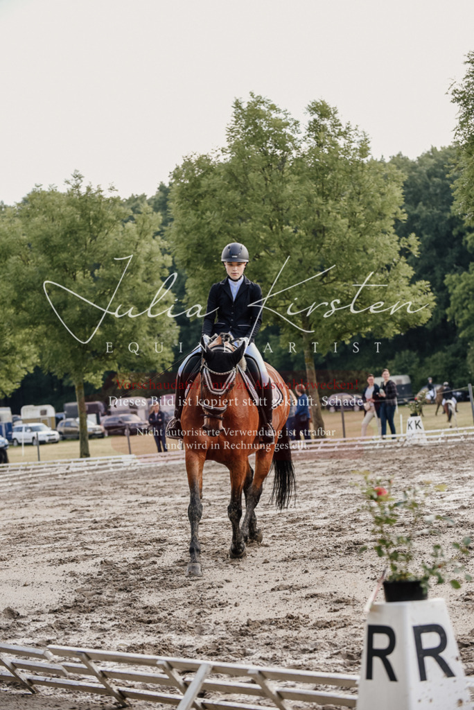 DSC_8176 | Pferde- und Turnierfotografie in Westsachsen. Pferdeportraits, Auftragszeichnungen und intuitive Kunst.
