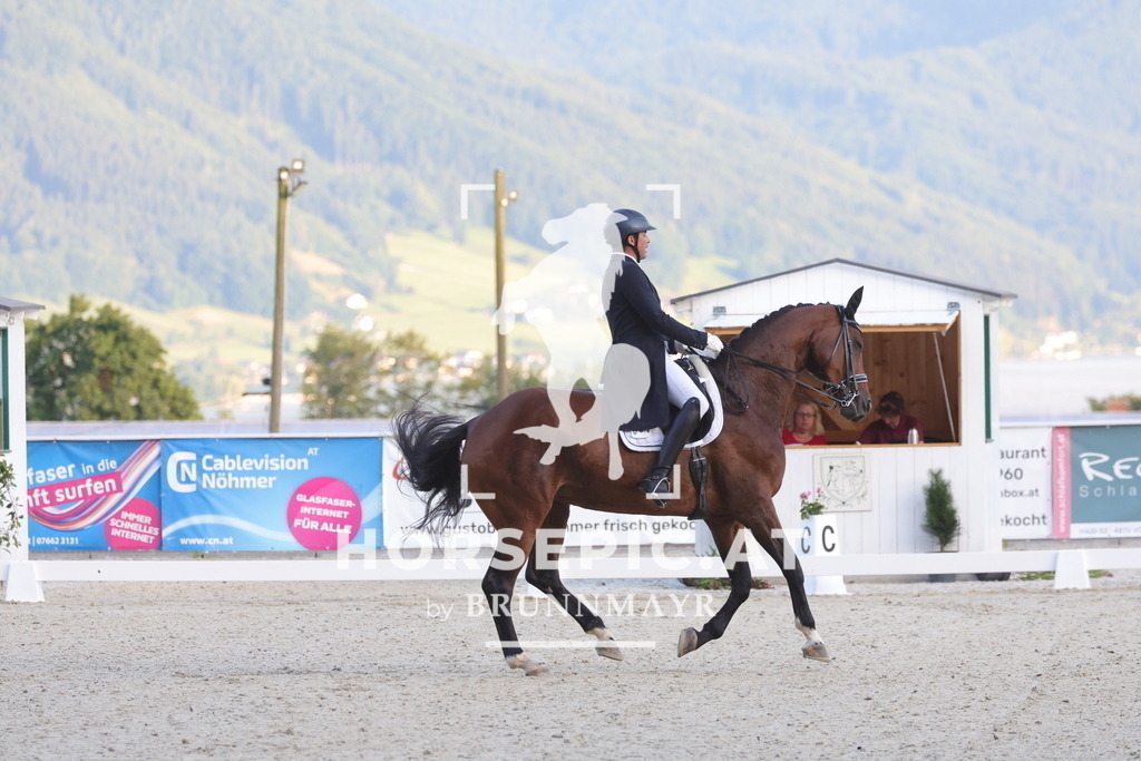 0P6A3584 | Willkommen bei Brunnmayr - Design & Fotografie – Ihrem Spezialisten für Reitturniere und Pferdeveranstaltungen in Oberösterreich, Salzburg und Bayern! Seit über 17 Jahren sind wir leidenschaftlich dabei.