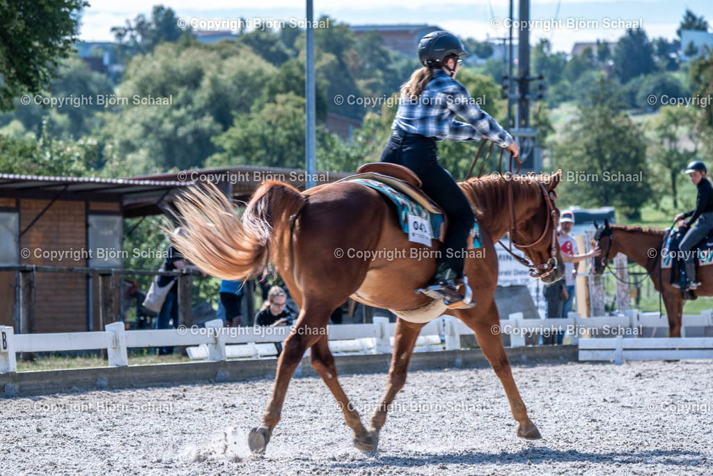 HOB09017 | BS-foto