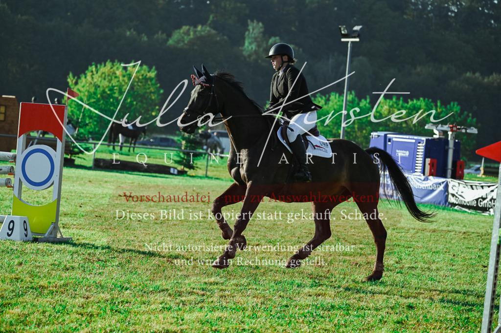 DSC_4392 | Pferde- und Turnierfotografie in Westsachsen. Pferdeportraits, Auftragszeichnungen und intuitive Kunst.