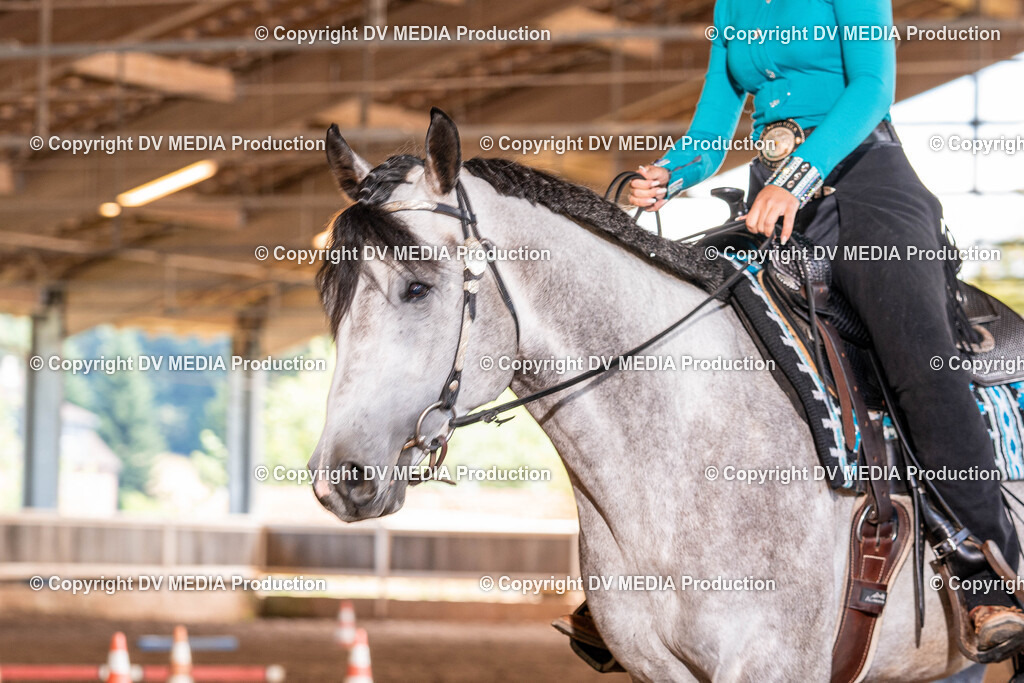 Erbach Tag 2-577 | dv-media-shop - Realisiert mit Pictrs.com