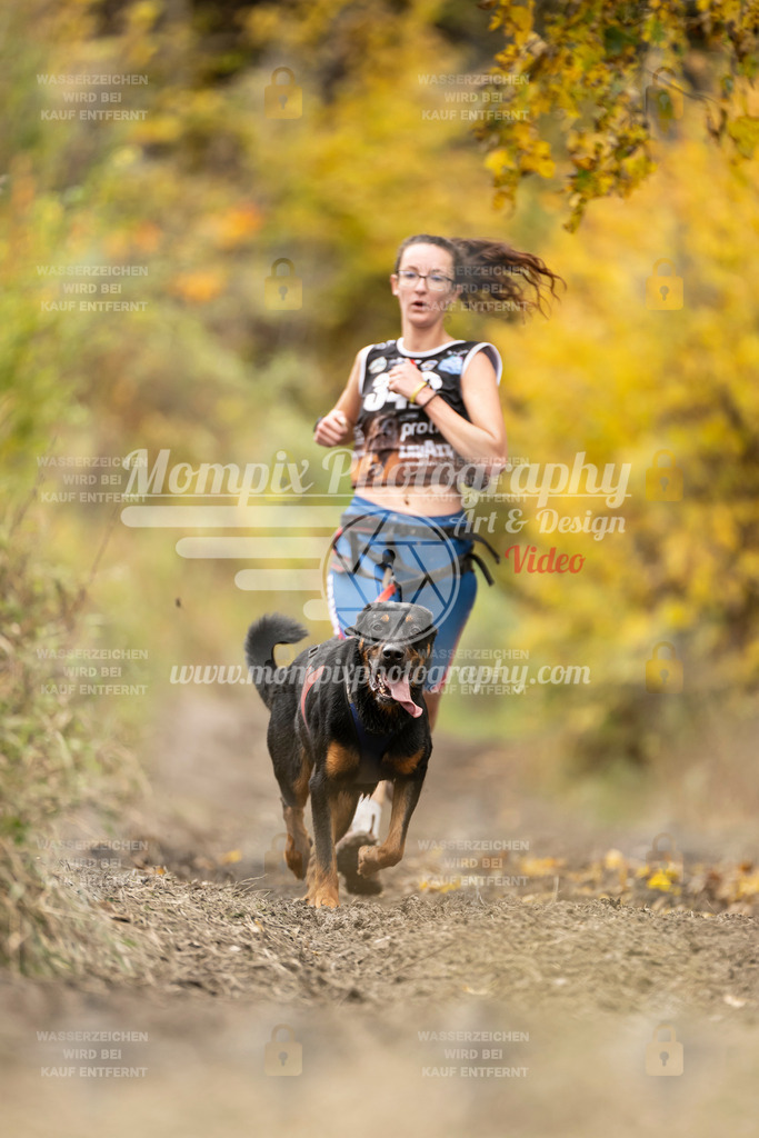 MompixPhotography_ICF_WC_2024_SA_Run_-233 | PayLife
