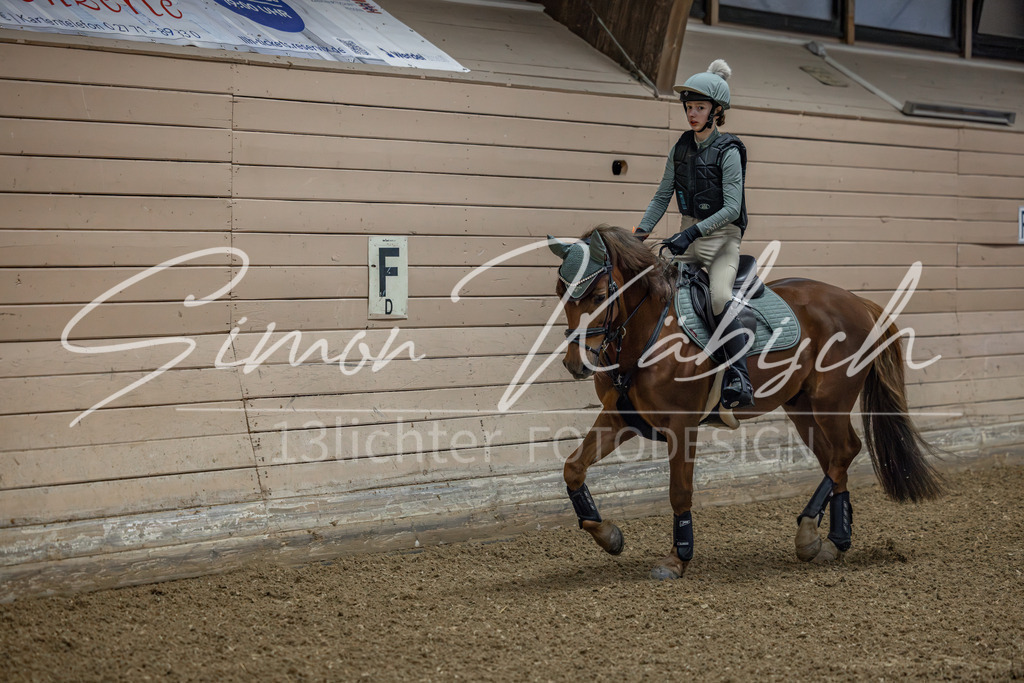 20260222-_3LI0638 | Tierfotografie Pferde, Hunde, Katzen, Haustiere.
Turnierfotografie Reitturniere, Reiten, Springreiten, Dressur in Hanau, dem Main-Kinzig-Kreis und dem Rhein-Main- Gebiet um Frankfurt