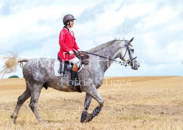 Jagd Knoop 26_MarinaHewigMCH02494 | Fotografie, FotoArt, PferdesportArt, Pferdesportfotografie, Landschaftsfotografie, Reisefotografie, Reise, Pferde - Realisiert mit Pictrs.com