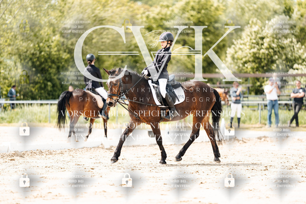 CK901800 | Turnierfotografie Pferdefotografie Trier Rheinland-Pfalz Pferdesport Reitsport Tierfotografie Sportfotografie Pferdevideo Pferdevideografie Equestrianvideography equestrianphotography  - Realisiert mit Pictrs.com
