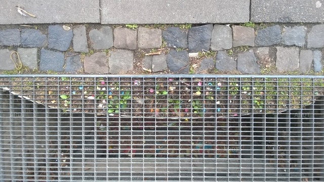 Stadt Natur 53 | ARDT Foto Kunst