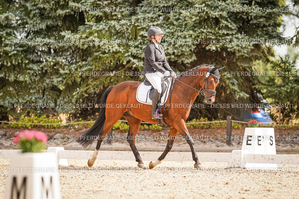 DSC01424 | Pferdegrafie