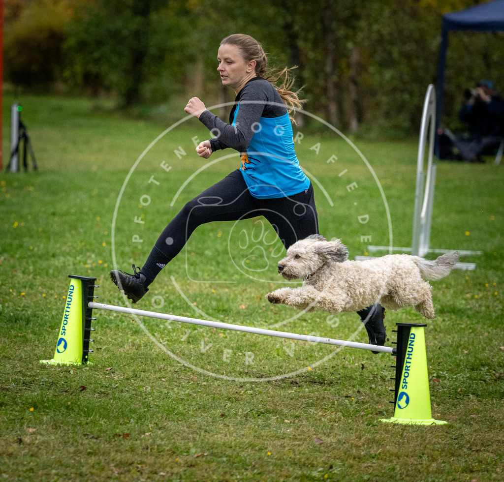 Pfotenfotografie_DV3A1104 | Hundefotografie, Tierfotograf, Pfotenfotografie, Fotoshooting Hund, Hunde Portrait, Hundesport, Hundeportraits, Heideshooting, Hunde, Sportfotograf, Hundefotograf, Turnierhundsport, THS,  - Realisiert mit Pictrs.com