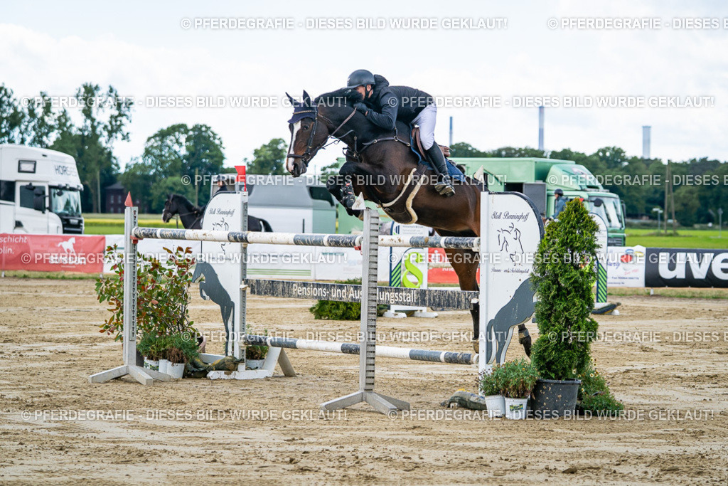 DSC05415 | Pferdegrafie