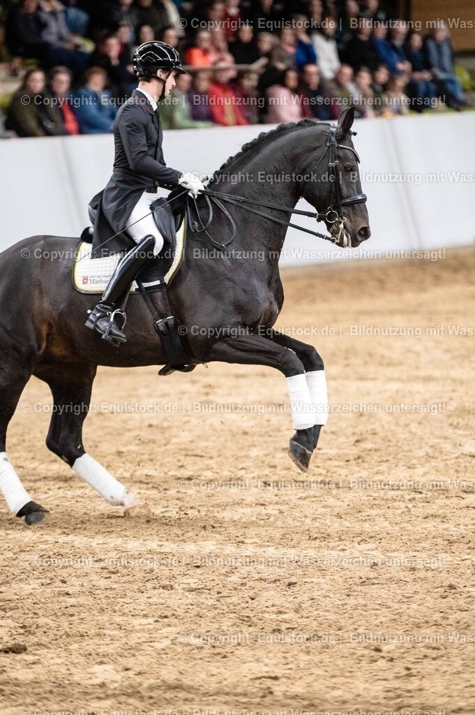 20260307_Hengstvorstellung-Marbach_0498 | equistock