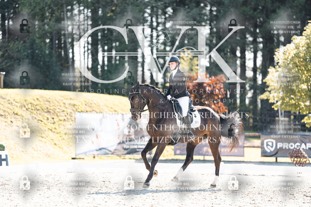 CK905861 | Turnierfotografie Pferdefotografie Trier Rheinland-Pfalz Pferdesport Reitsport Tierfotografie Sportfotografie Pferdevideo Pferdevideografie Equestrianvideography equestrianphotography  - Realisiert mit Pictrs.com