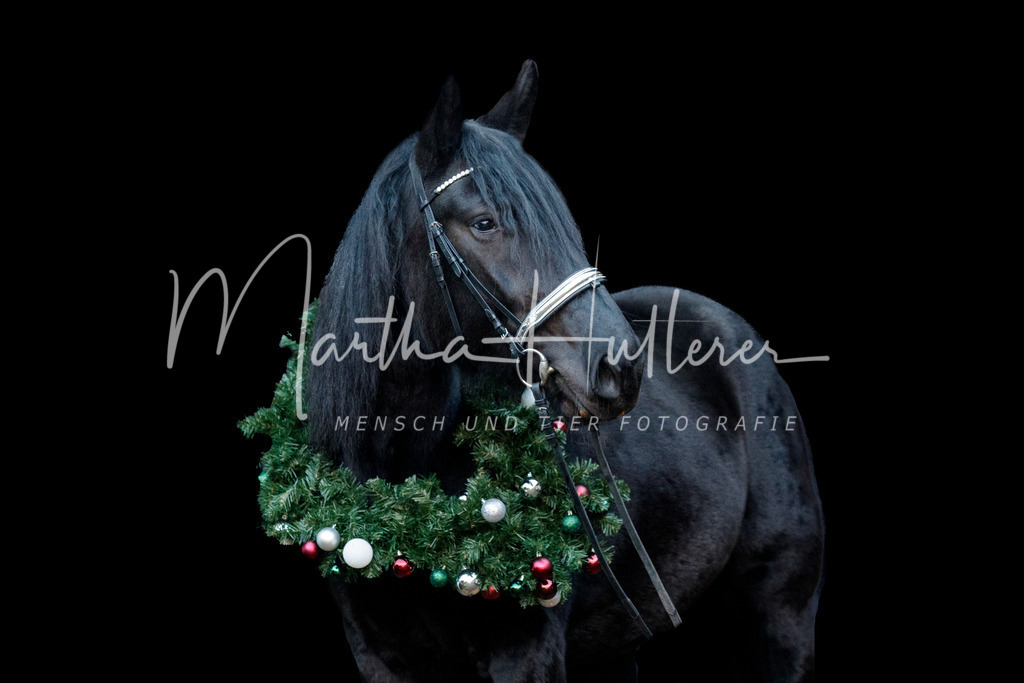 Weihnachts Shooting  | Weihnachts Fotografie im Pferdestall 