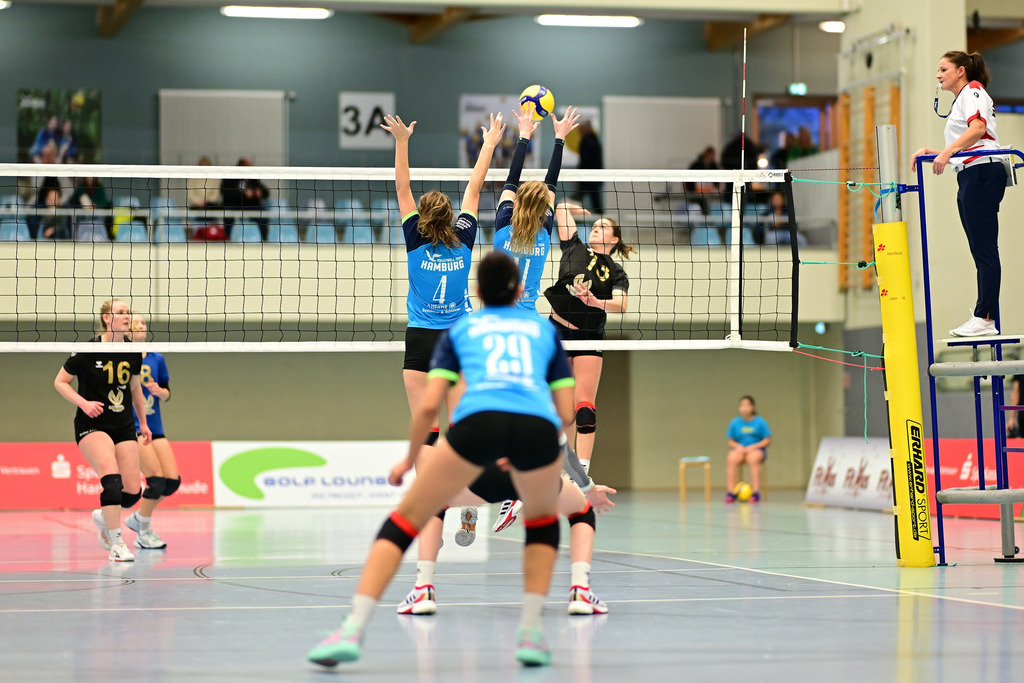 Volleyball I Frauen I Saison 2024-2025 I Regionalliga Nord I VT Hamburg - Wiker SV | Der Sportfotograf. - Realisiert mit Pictrs.com