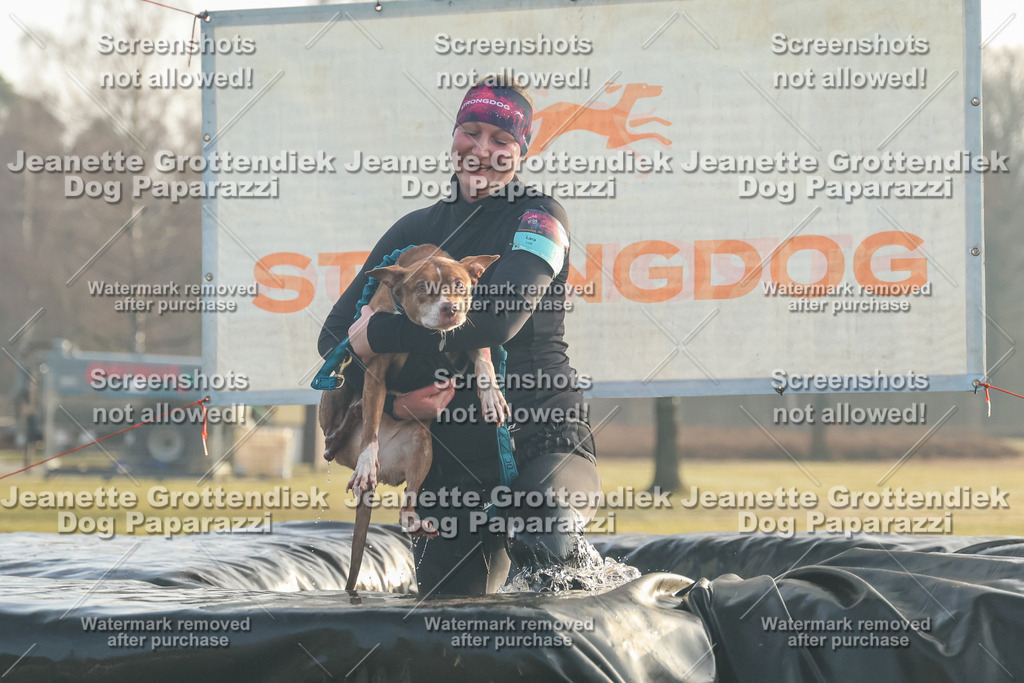 Dog Paparazzi - SD North Sa 830-900-51 | Dog Paparazzi Jeanette Grottendiek Fotografie & Videografie - Realisiert mit Pictrs.com