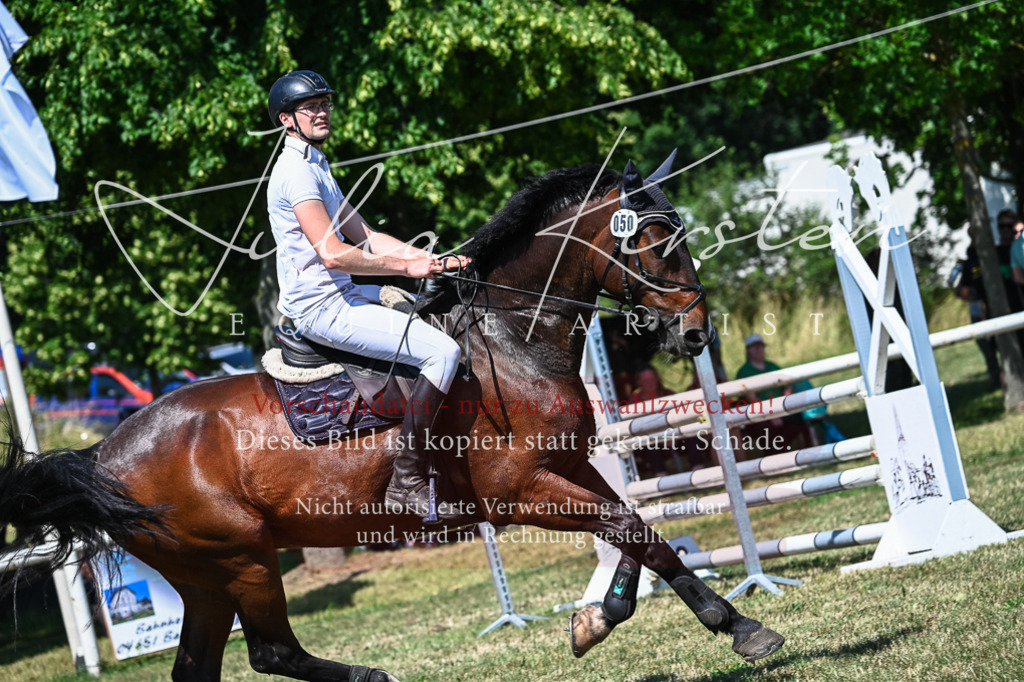 DSC_1215 | Pferde- und Turnierfotografie in Westsachsen. Pferdeportraits, Auftragszeichnungen und intuitive Kunst.