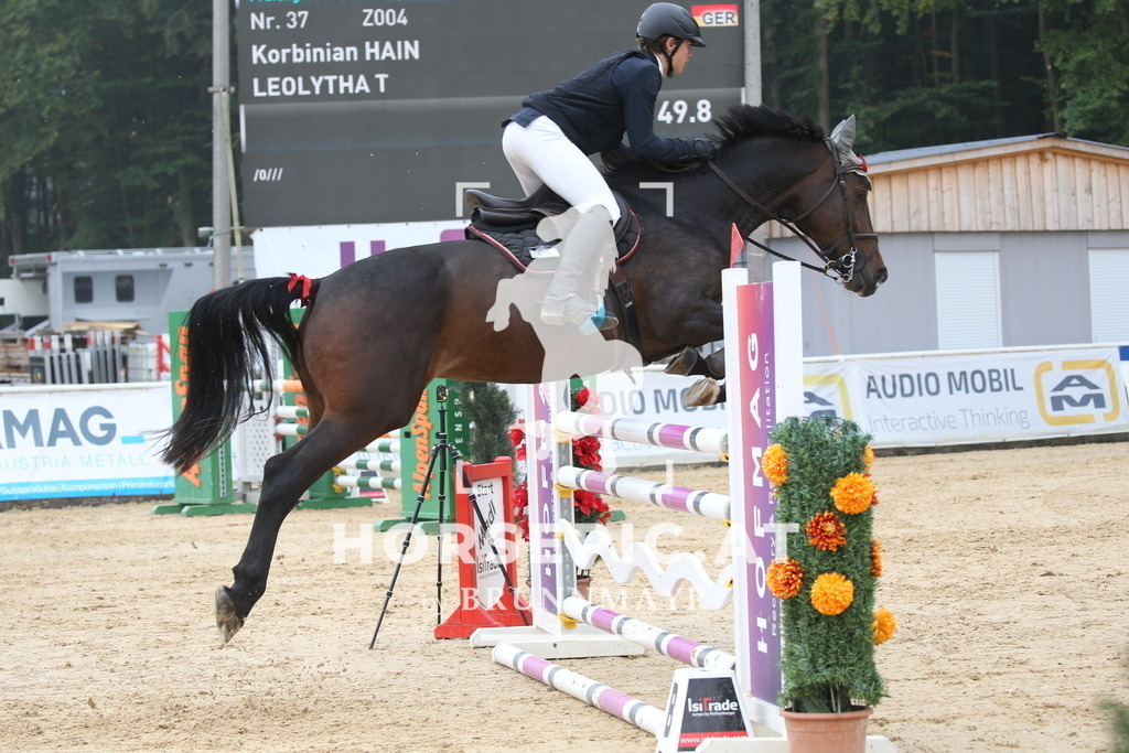 DL2Q3646 | Willkommen bei Brunnmayr - Design & Fotografie – Ihrem Spezialisten für Reitturniere und Pferdeveranstaltungen in Oberösterreich, Salzburg und Bayern! Seit über 17 Jahren sind wir leidenschaftlich dabei.