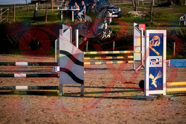 2026_10_03_Siefer-Hof_171356_Z81_10908229 | Professionelle Reitsport-, Turnier- und Eventfotografie von Robert Broda. Galerien mit ausgewählten und bearbeiteten Bildern direkt online ansehen und bestellen.