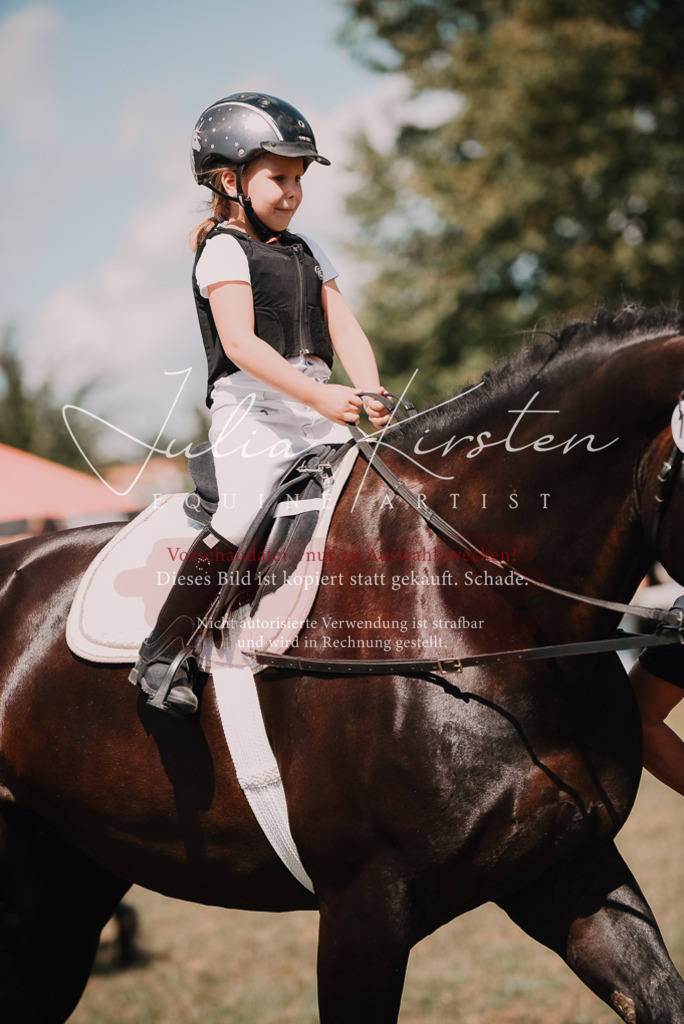 DSC_6177 | Pferde- und Turnierfotografie in Westsachsen. Pferdeportraits, Auftragszeichnungen und intuitive Kunst.