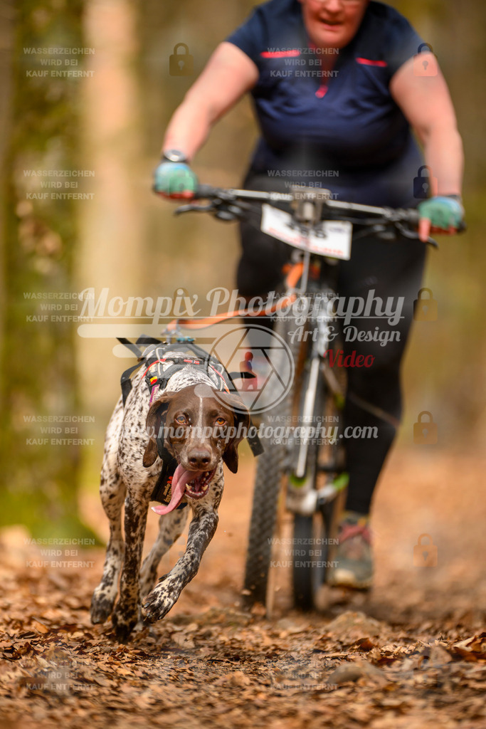 MompixPhotography_Habay2025_SA_Bike-181 | PayLife