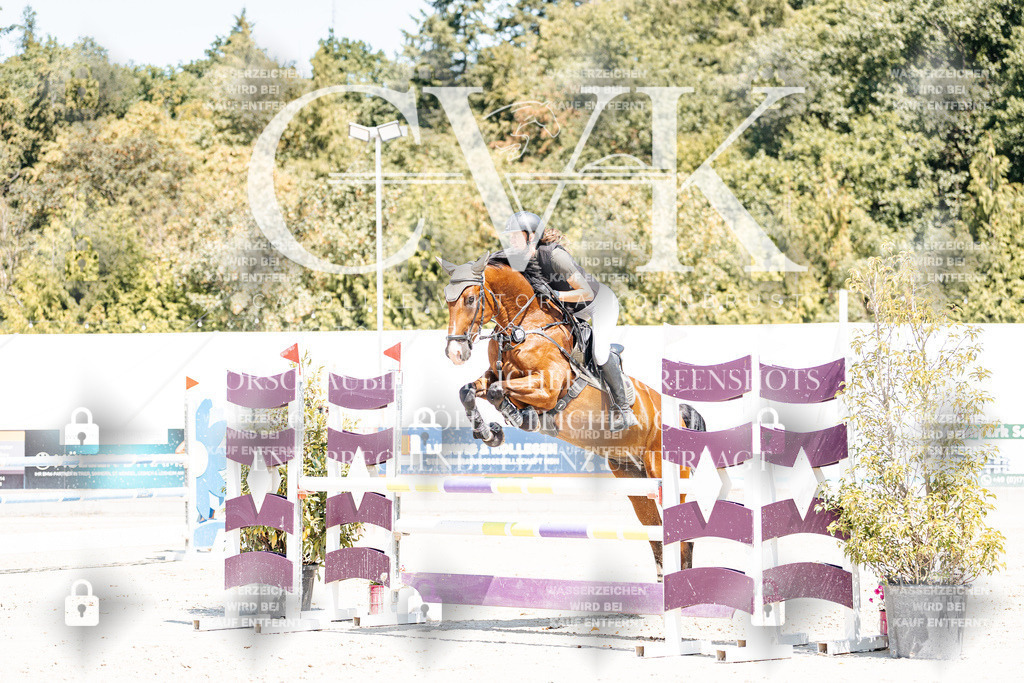 CK900306 | Turnierfotografie Pferdefotografie Trier Rheinland-Pfalz Pferdesport Reitsport Tierfotografie Sportfotografie Pferdevideo Pferdevideografie Equestrianvideography equestrianphotography  - Realisiert mit Pictrs.com