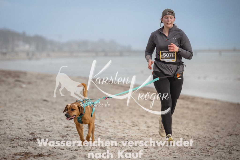 1223_ZZ96336 | kk-dogfotos