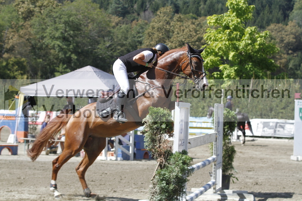 _MG_6427 | equestrian-live-com