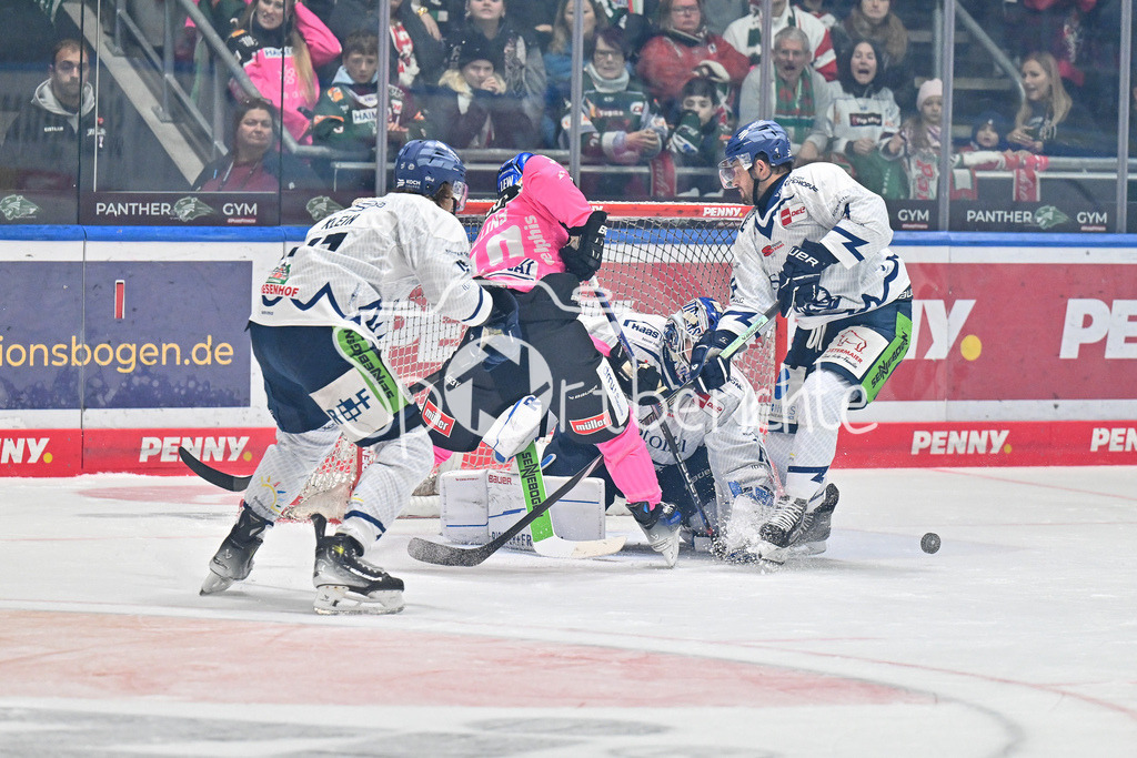 Augsburger Panther - Straubing Tigers | in dieser Szene bringt Chris COLLINS (Augsburger Panther #10) den Puck nicht im Gaestetor unter / DEL: Augsburger Panther - Straubing Tigers, Curt Frenzel Stadiom am 20.10.2024