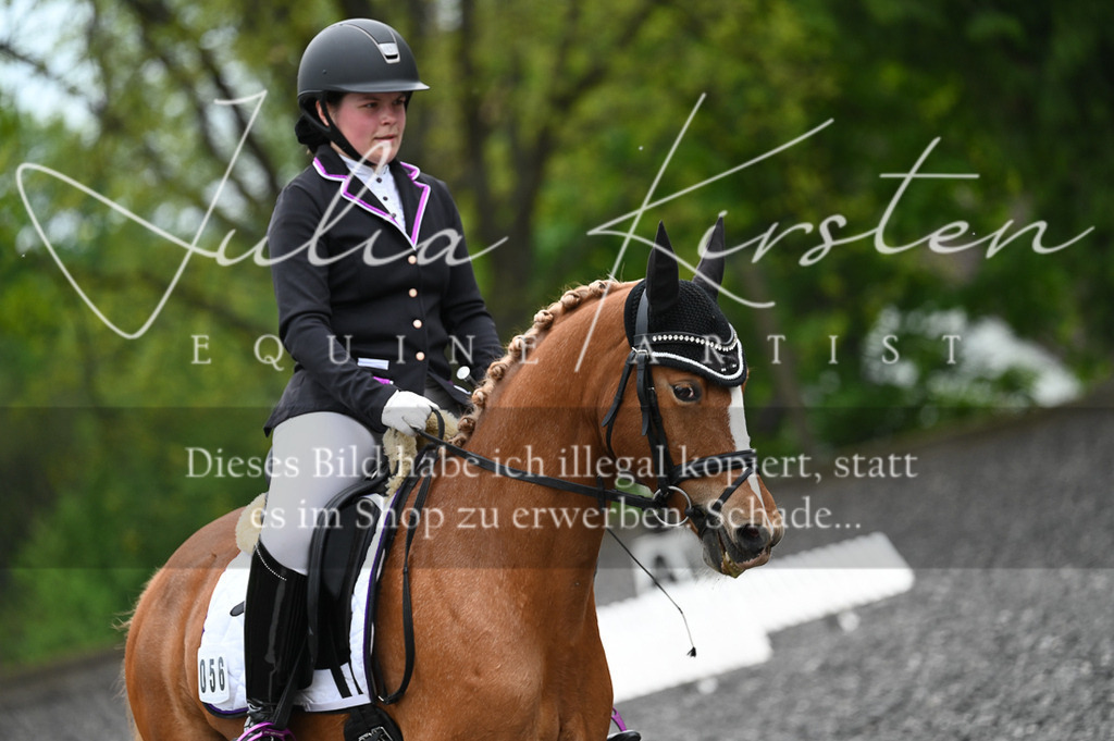 20230512_JK-Röhrsdorf-07-169 | Pferde- und Turnierfotografie in Westsachsen. Pferdeportraits, Auftragszeichnungen und intuitive Kunst.