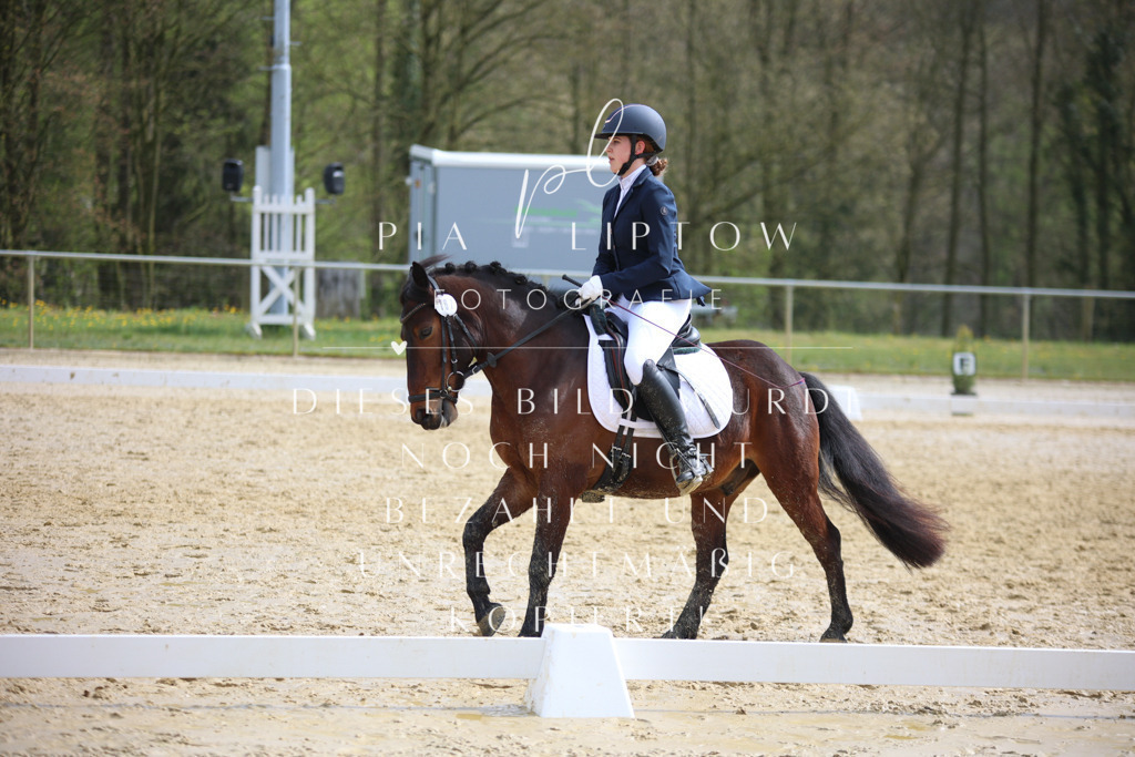 IMGT5081 | pl-fotografie