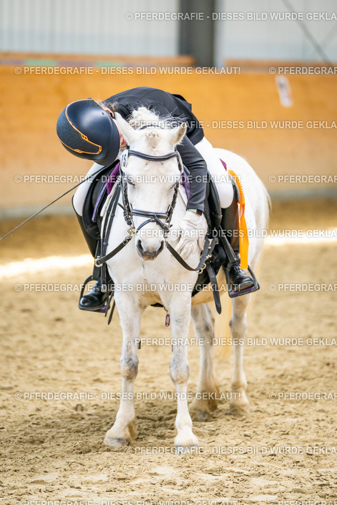 DSC03468 | Pferdegrafie