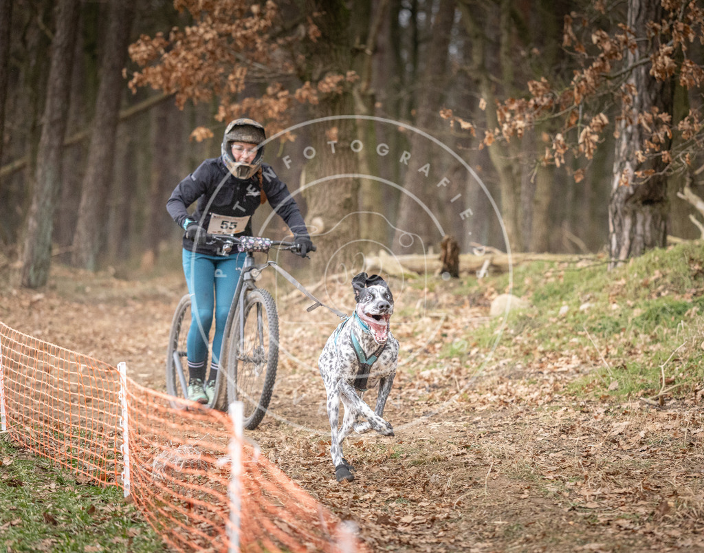 Pfotenfotografie_DV3A1447 | Hundefotografie, Tierfotograf, Pfotenfotografie, Fotoshooting Hund, Hunde Portrait, Hundesport, Hundeportraits, Heideshooting, Hunde, Sportfotograf, Hundefotograf, Turnierhundsport, THS,  - Realisiert mit Pictrs.com