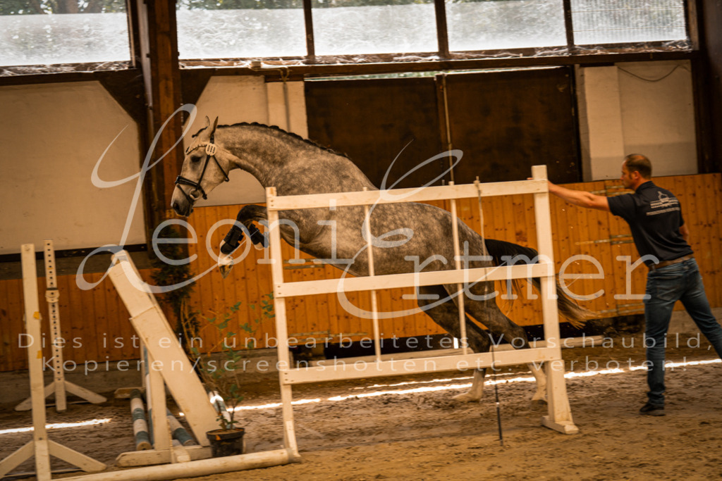 FrFS00006 | Leoni Ertmer Photography - Realisiert mit Pictrs.com