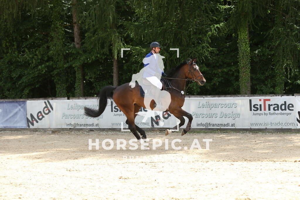 DL2Q6100 | Willkommen bei Brunnmayr - Design & Fotografie – Ihrem Spezialisten für Reitturniere und Pferdeveranstaltungen in Oberösterreich, Salzburg und Bayern! Seit über 17 Jahren sind wir leidenschaftlich dabei.