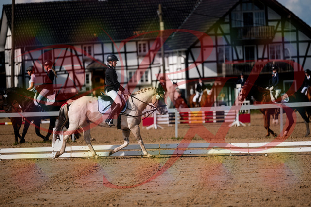 2026_10_03_Siefer-Hof_114744_Z63_27004956 | Professionelle Reitsport-, Turnier- und Eventfotografie von Robert Broda. Galerien mit ausgewählten und bearbeiteten Bildern direkt online ansehen und bestellen.