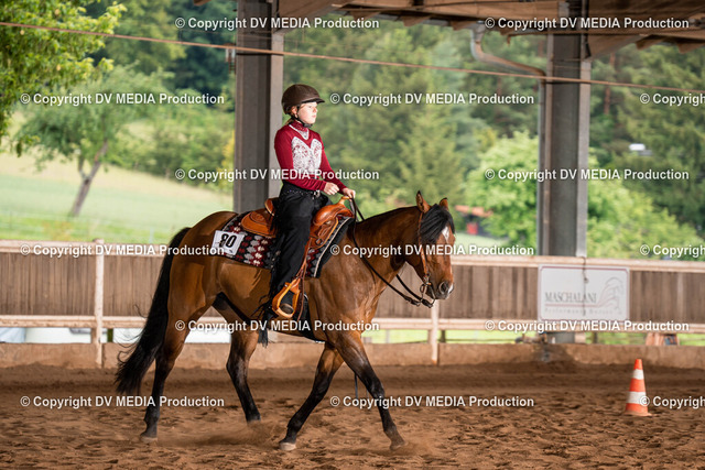 Erbach Tag 1-903 | dv-media-shop - Realized with Pictrs.com