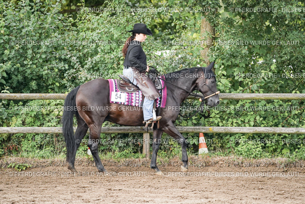 DSC08833 | Pferdegrafie