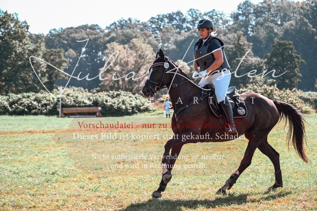 DSC_0579 | Pferde- und Turnierfotografie in Westsachsen. Pferdeportraits, Auftragszeichnungen und intuitive Kunst.