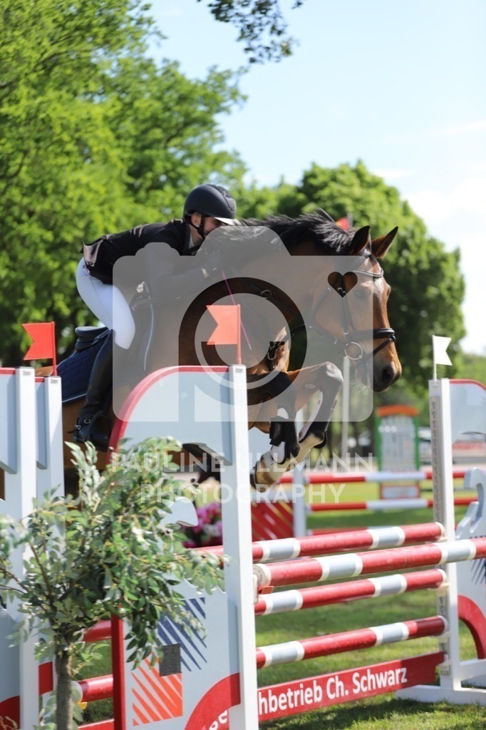 IMG_7142 | Pauline Ullmann Photography - Realisiert mit Pictrs.com