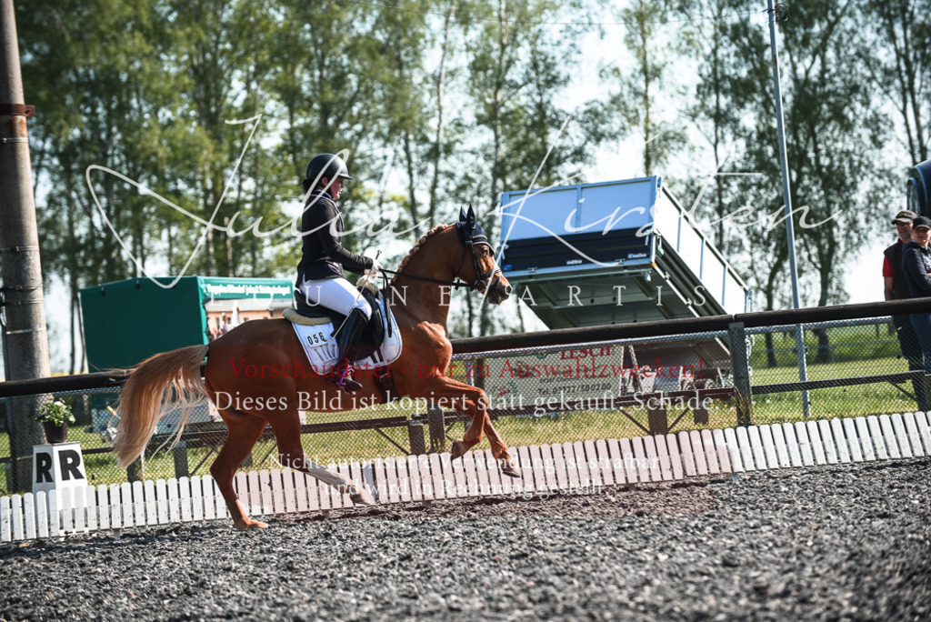 DSC_8441 | Pferde- und Turnierfotografie in Westsachsen. Pferdeportraits, Auftragszeichnungen und intuitive Kunst.