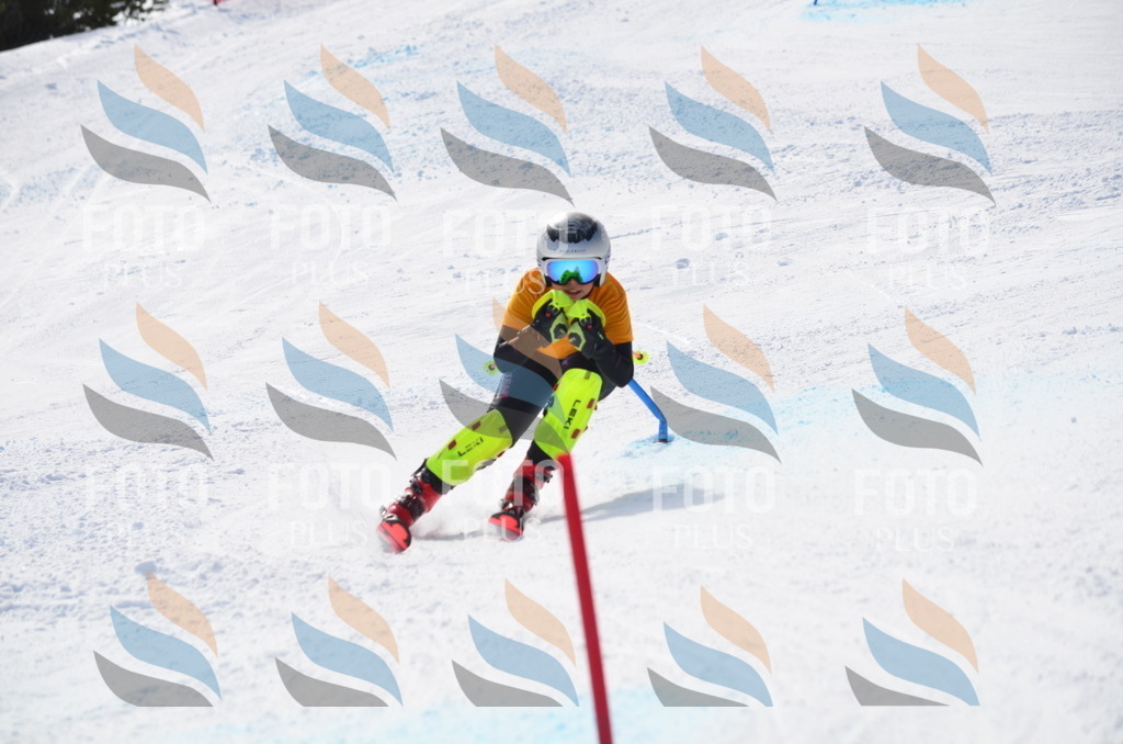 C9904 | holidayphoto