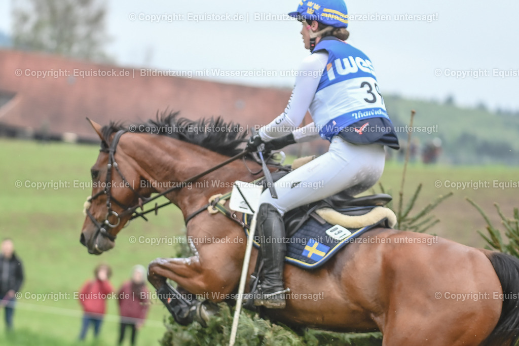 20230513_CCI4_Gelände_0479 | equistock